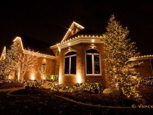 The trees and bushes are decorated with Christmas lights.