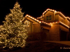 This Christmas tree is on the corner of the neighborhood block.