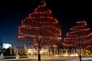 Wrap a tree with Christmas lights