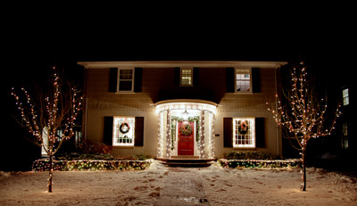 Christmas Window Decorations on The Bushes Have Been Decorated With Mini Lights To Direct Attention To