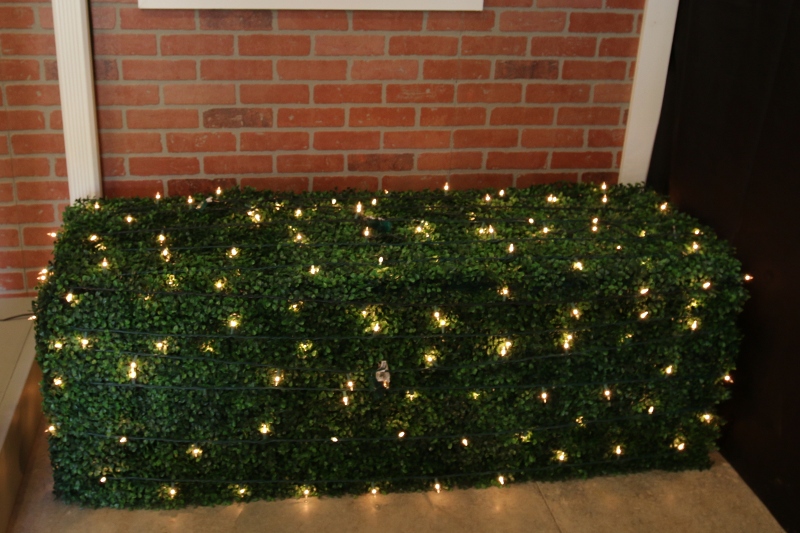 Decorated Bush