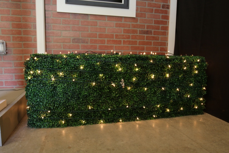 Holes in Bushes