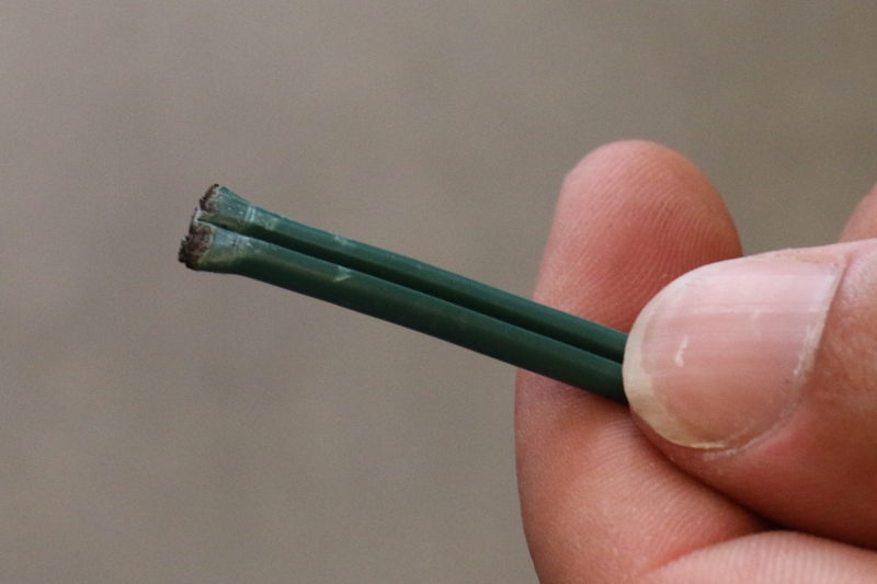 Sealed Lamp Cord
