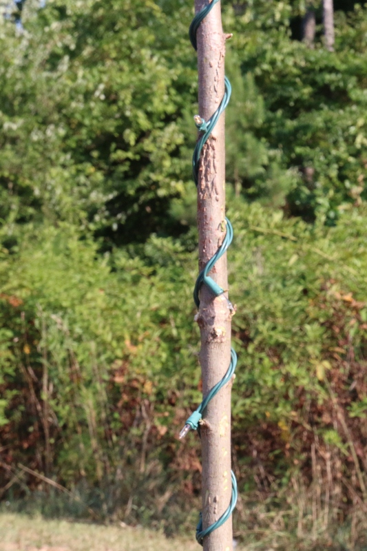 Wrap Trunk