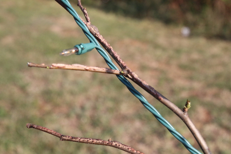 Hook Twigs