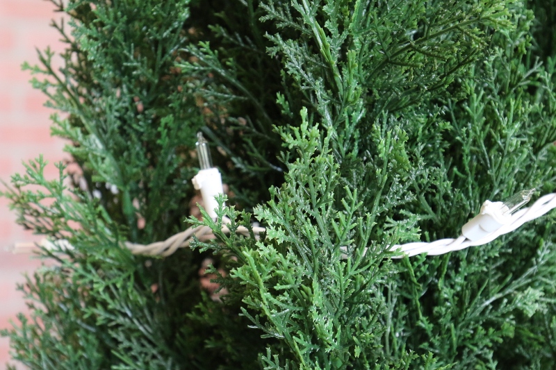Hook Small Branches