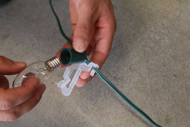 Screw in Bulb