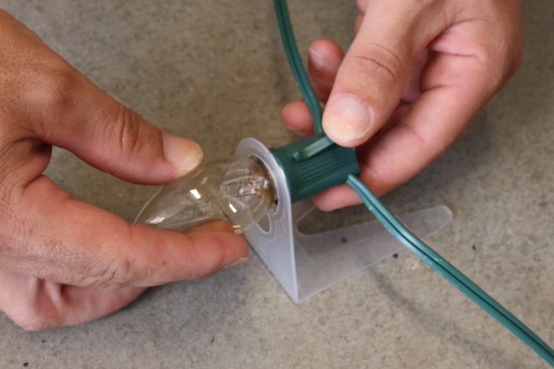 Screw Bulb