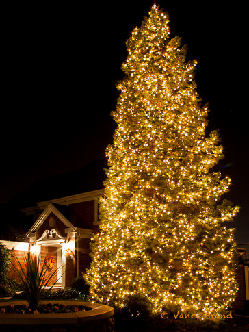 ... Christmas Light Installation Service | Atlanta Loves Christmas Lights